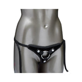 Her Royal Harness The Princess